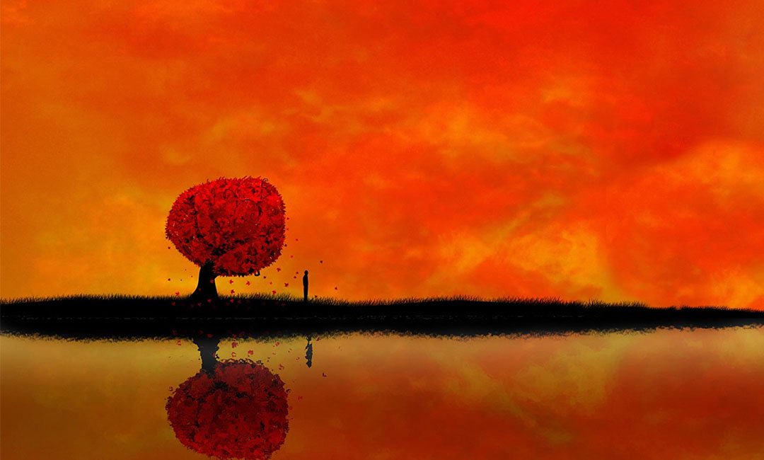 张掖笙影微信朋友圈转发案例